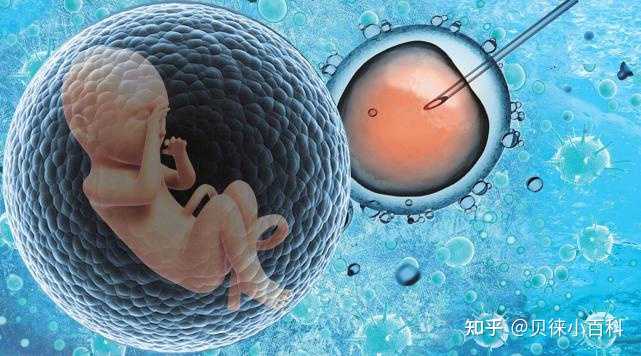 三代试管婴儿胚胎着床失败的几种情况-清宫表准吗